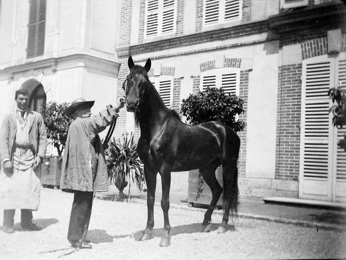 Exposition - Rosa bonheur et le cheval