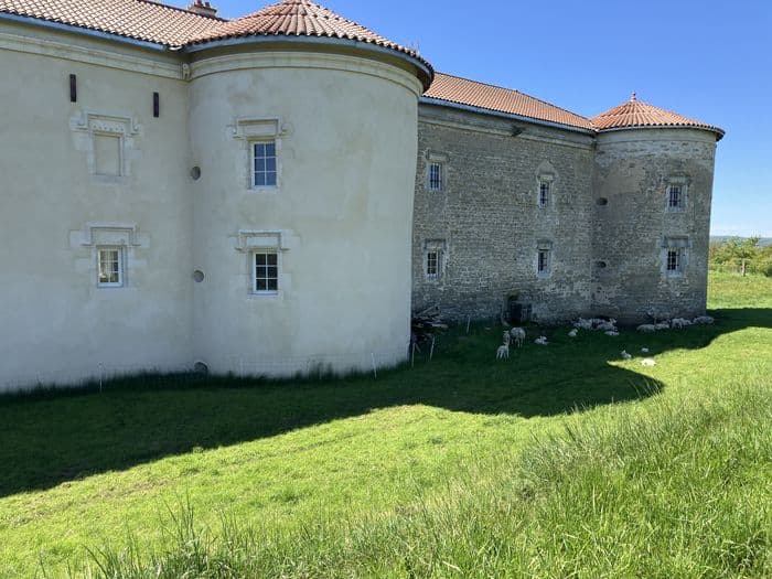 Visite commentée du château d'Etreval