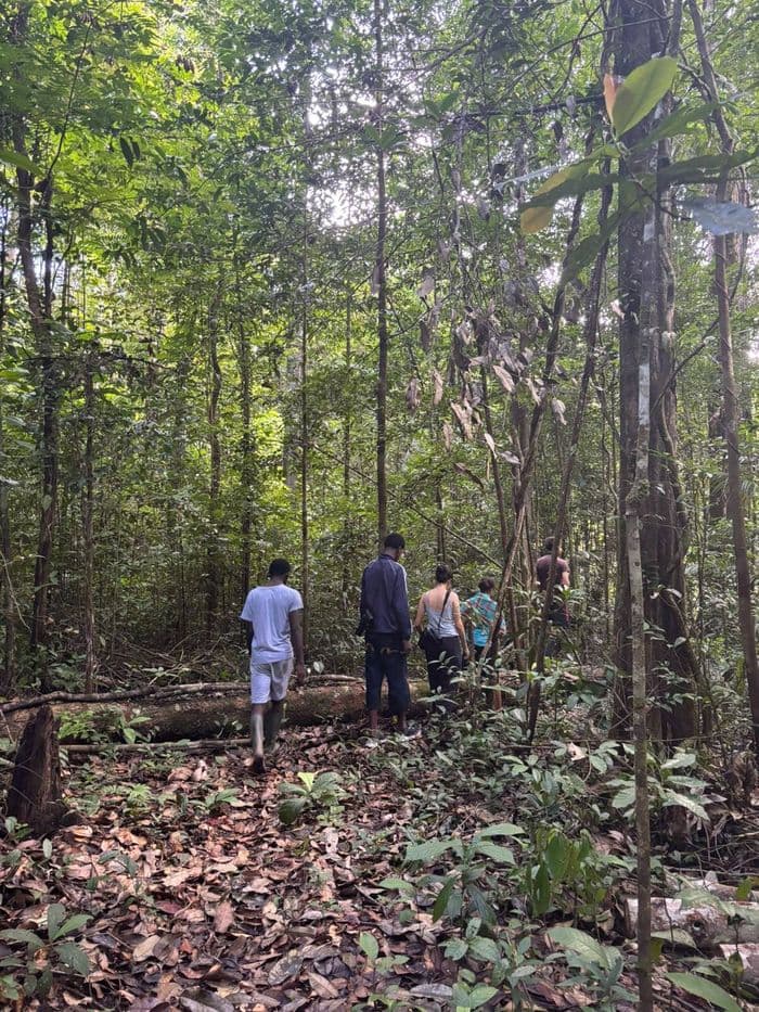 Sortie nature – À la découverte de la forêt guyanaise -ADNG