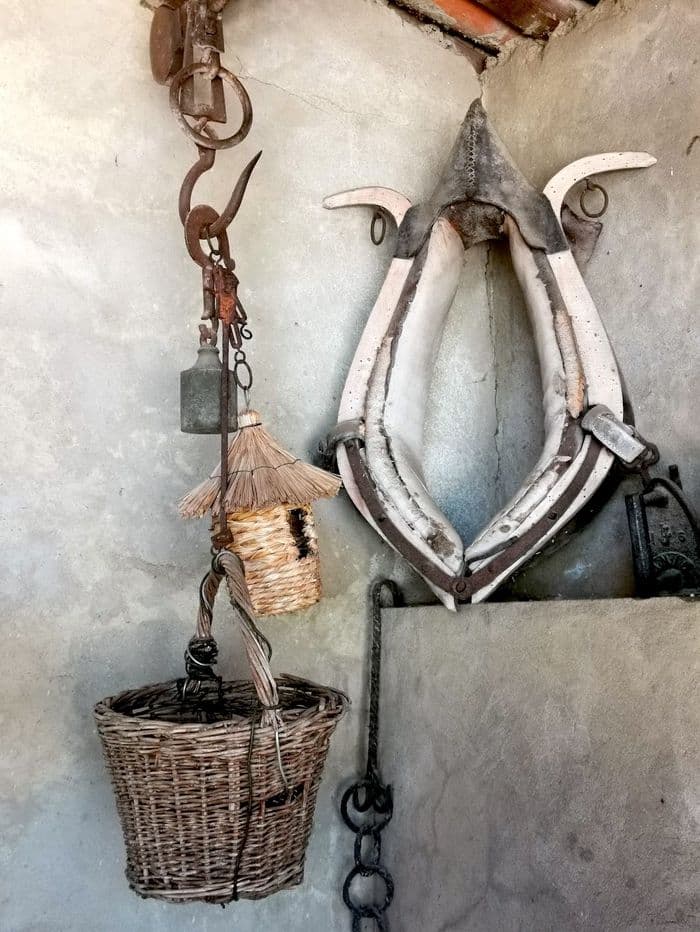 Retours aux sources : l'exposition