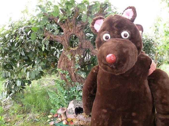 Découverte de la nature avec Petit ours