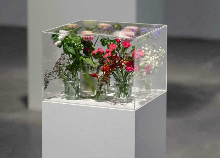 Exposition "Pollen" au CAPC de Bordeaux