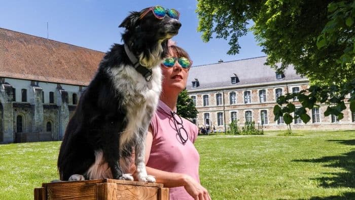 Vaucelles fait son cirque