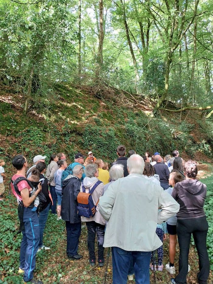 Contes et légendes de la motte à l'étang