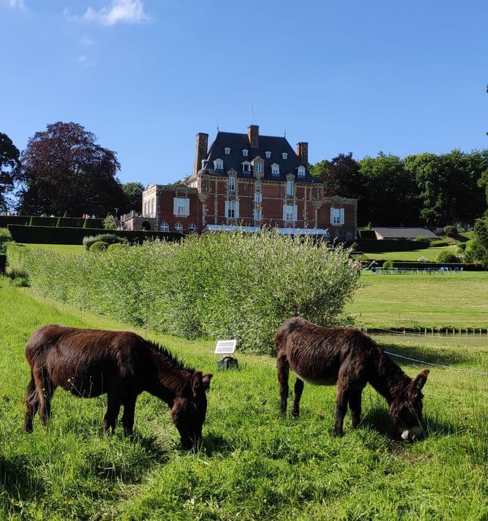 Visite libre des jardins du château d'Aguesseau