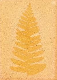Atelier Anthotype – Photographier avec les plantes
