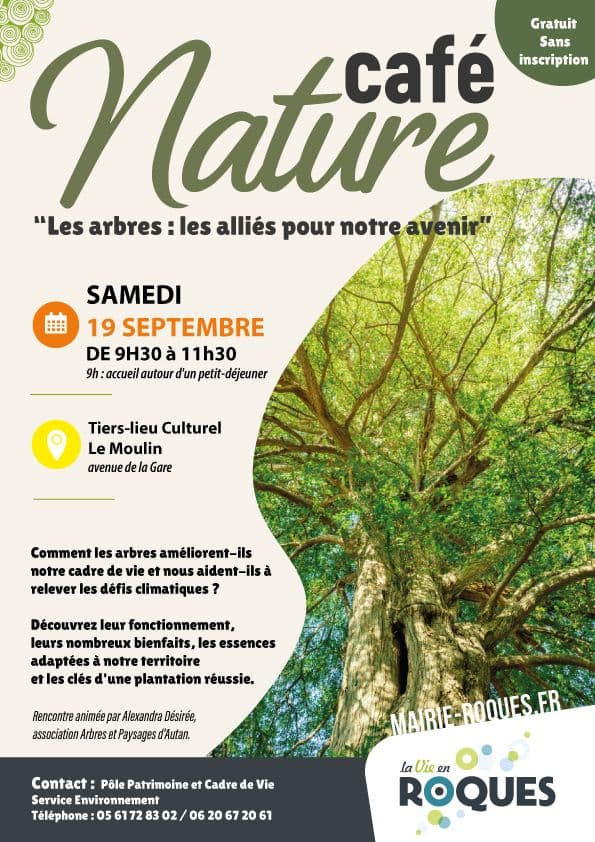 [Café nature] Ville, climat, biodiversité : l’arbre comme trait d’union.
