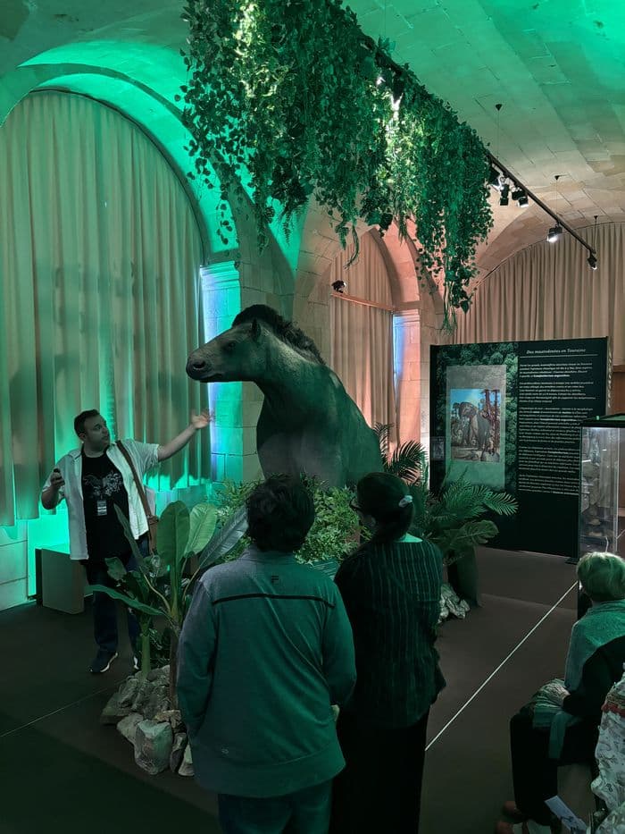 Découverte de l'exposition temporaire « La Touraine tropicale »