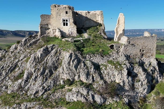 Visite guidée du Castellas de Roquemartine et animations médiévales