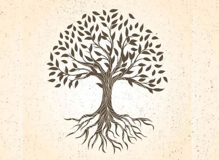 Initiation à la généalogie