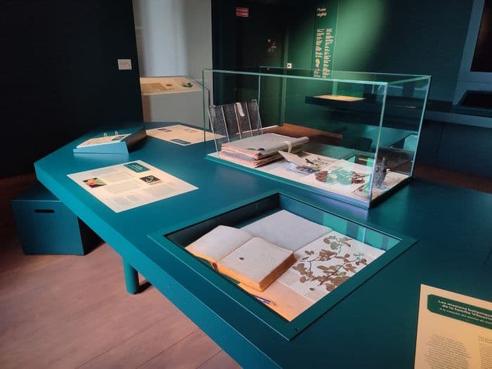 Visite guidée du Musée végétal