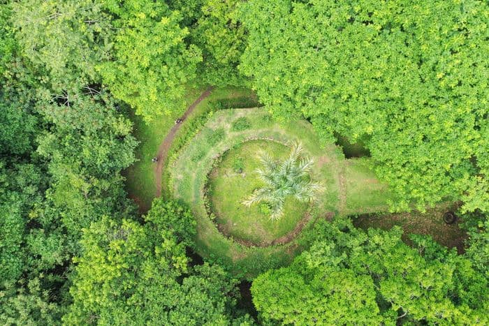 (Re)découvrez l'histoire de l'Habitation Vidal