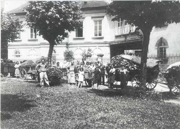 Devenez acteur du patrimoine sélestadien