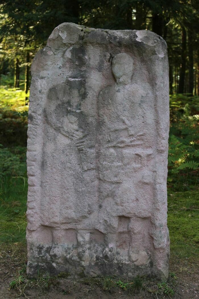Visite guidée et dessinée du camp celtique de la Bure