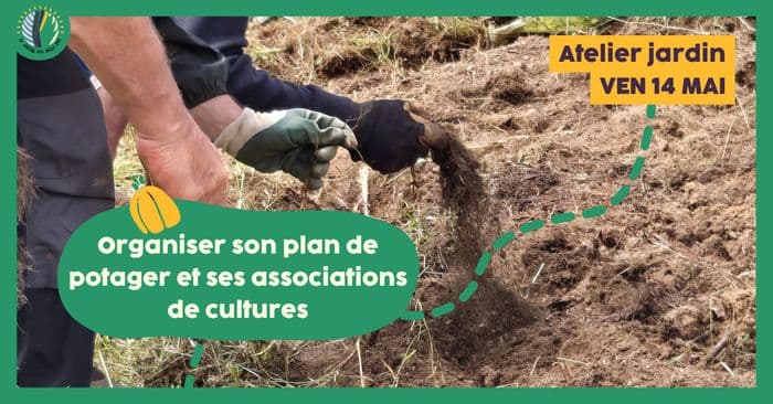 Atelier jardin : Organiser son plan de potager et ses associations de cultures