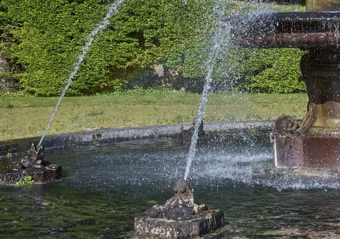 Ateliers - "Grenouilles à la Fontaine" et "Grenouilles royales"