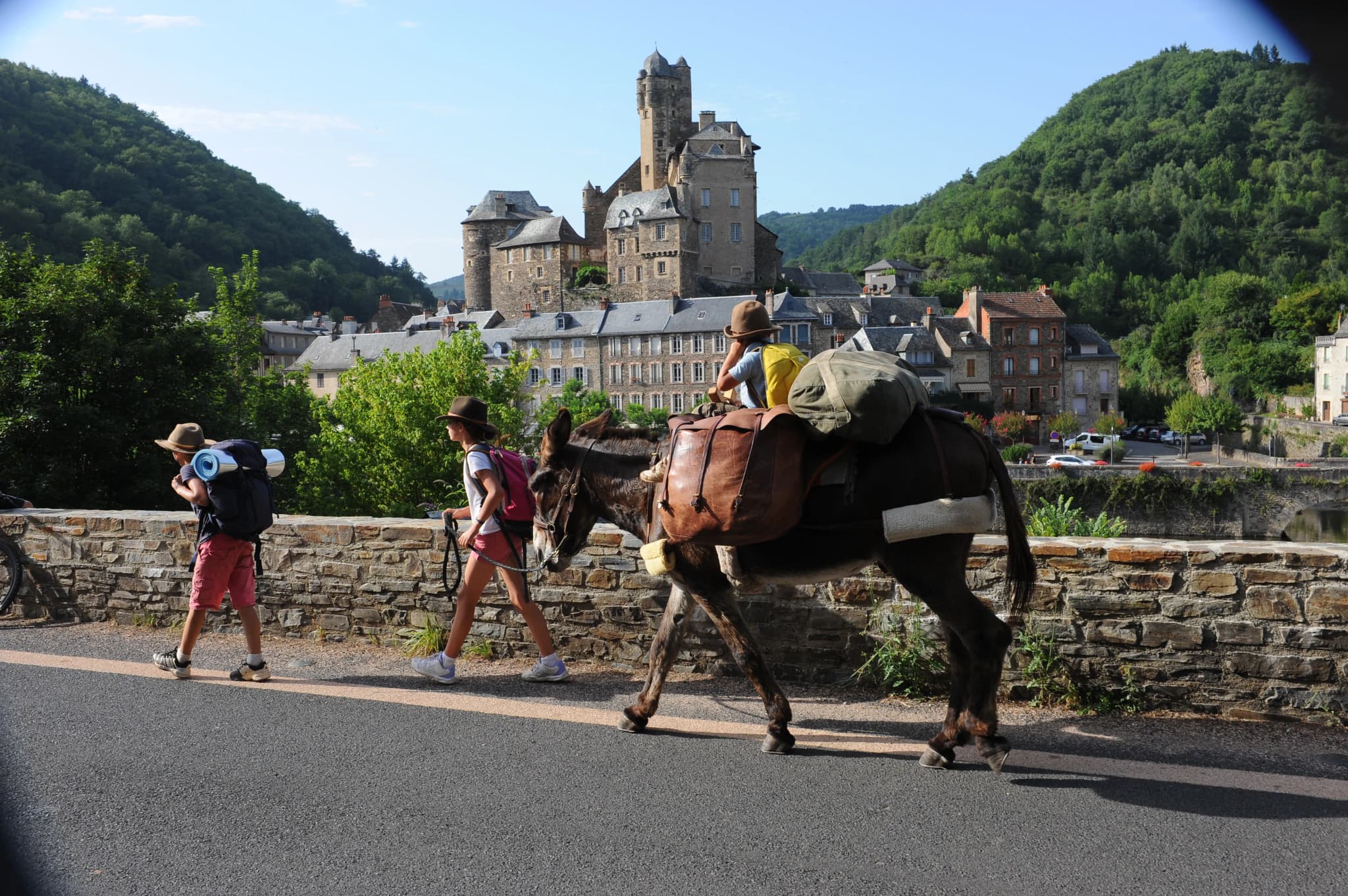 Les ânes de Monédies