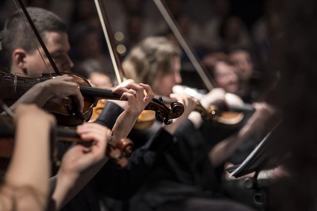 pexels-violins-1838390_640.jpg