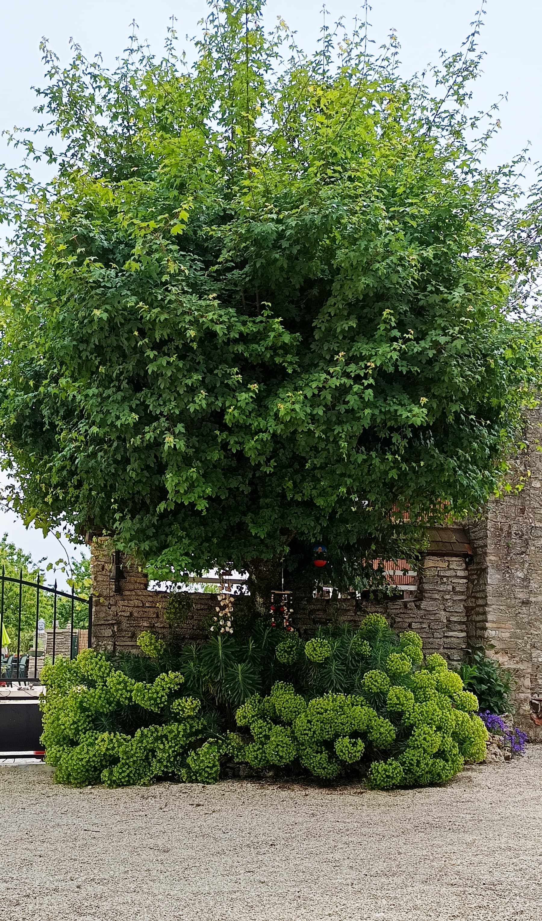 Gîte des Loups.jpg