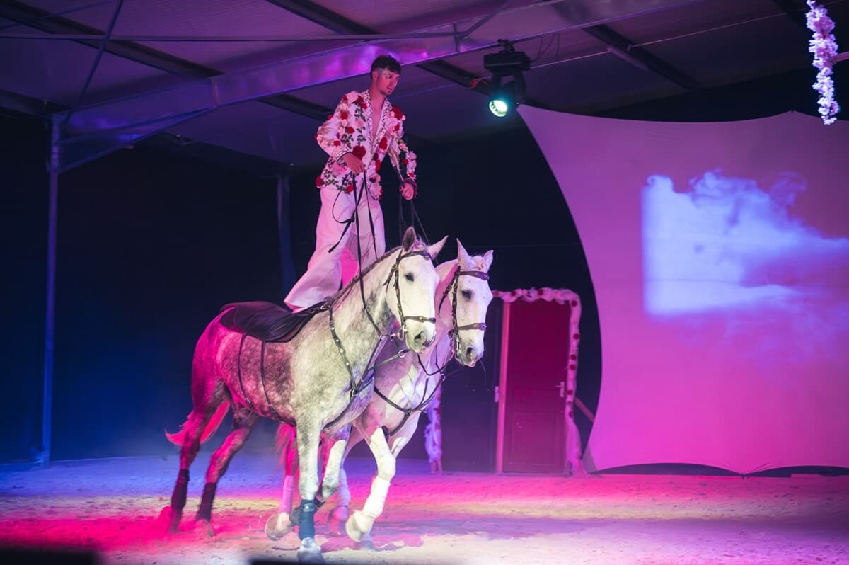 Spectacle équestre dans l'aube.jpg