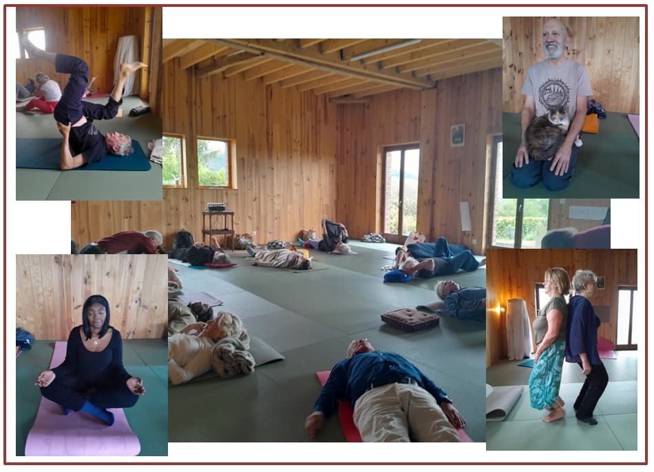 yoga 2025.jpg