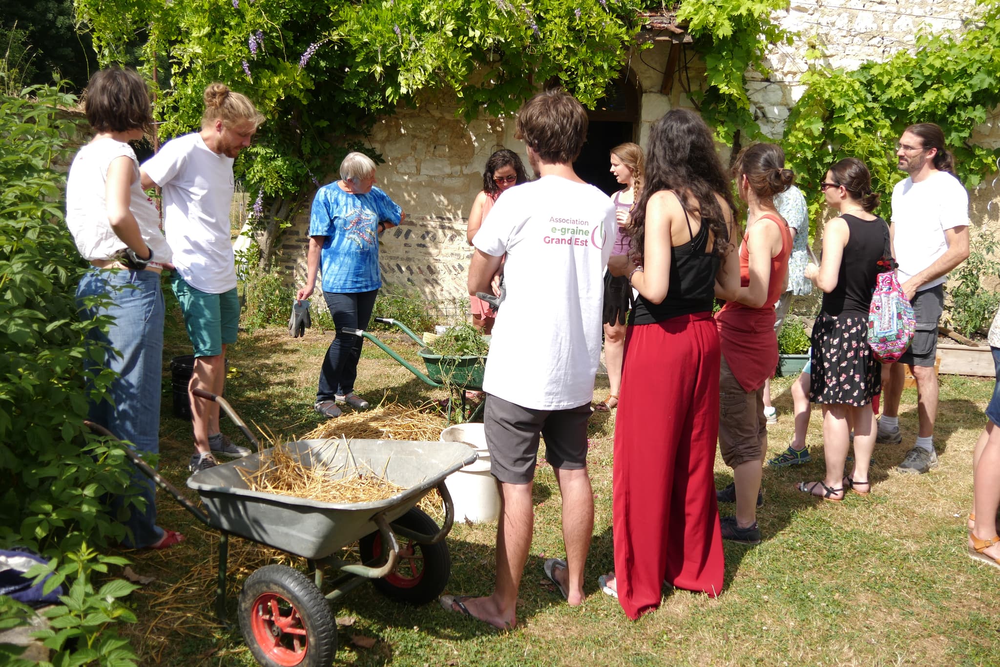 Jardin.JPG