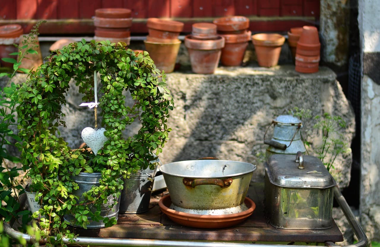 jardin.jpg