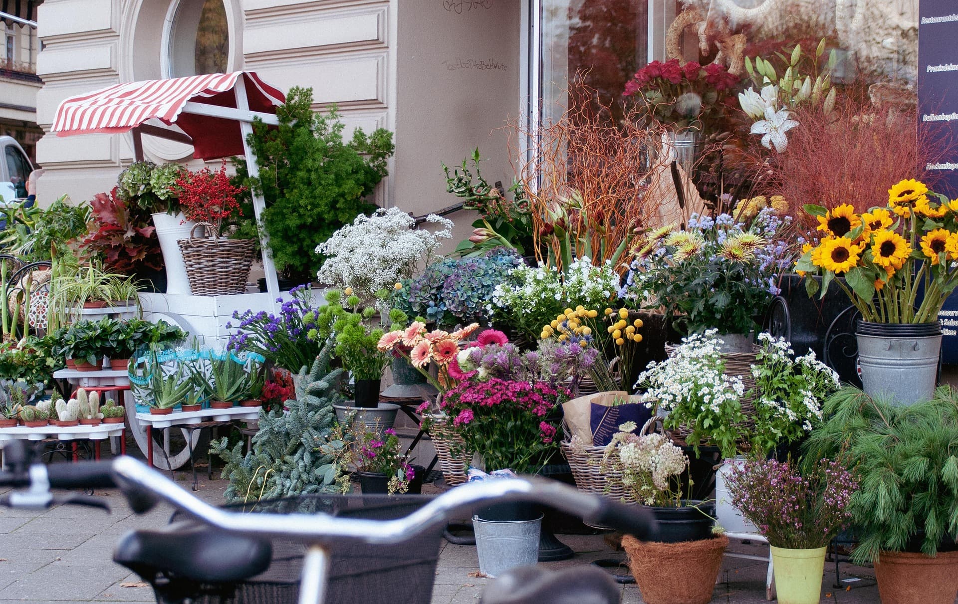 flower-shop.jpg