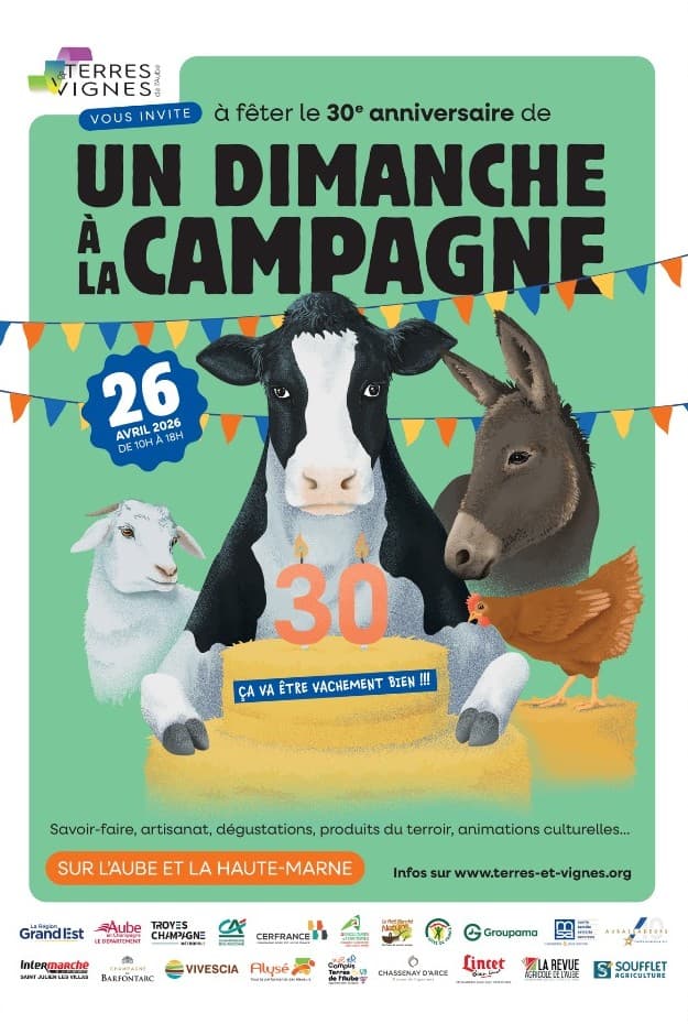 Un Dimanche à la Campagne - Champagne Jérôme Cothias