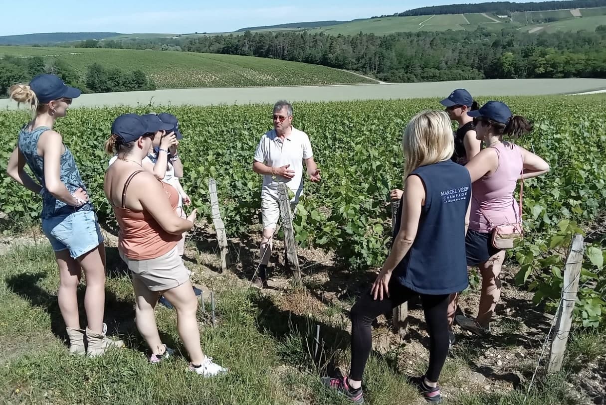 Champagne Marcel Vézien.jpg