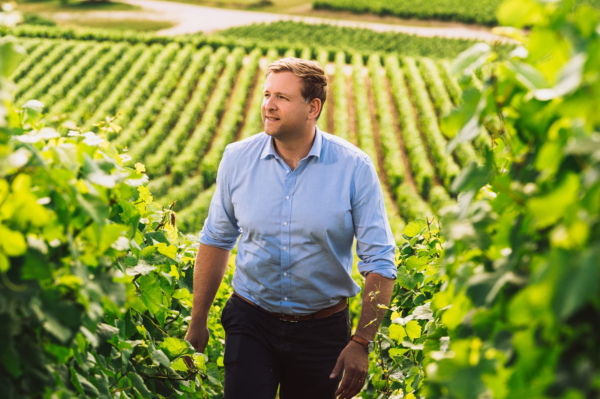 Champagne Edouard Duval.jpg