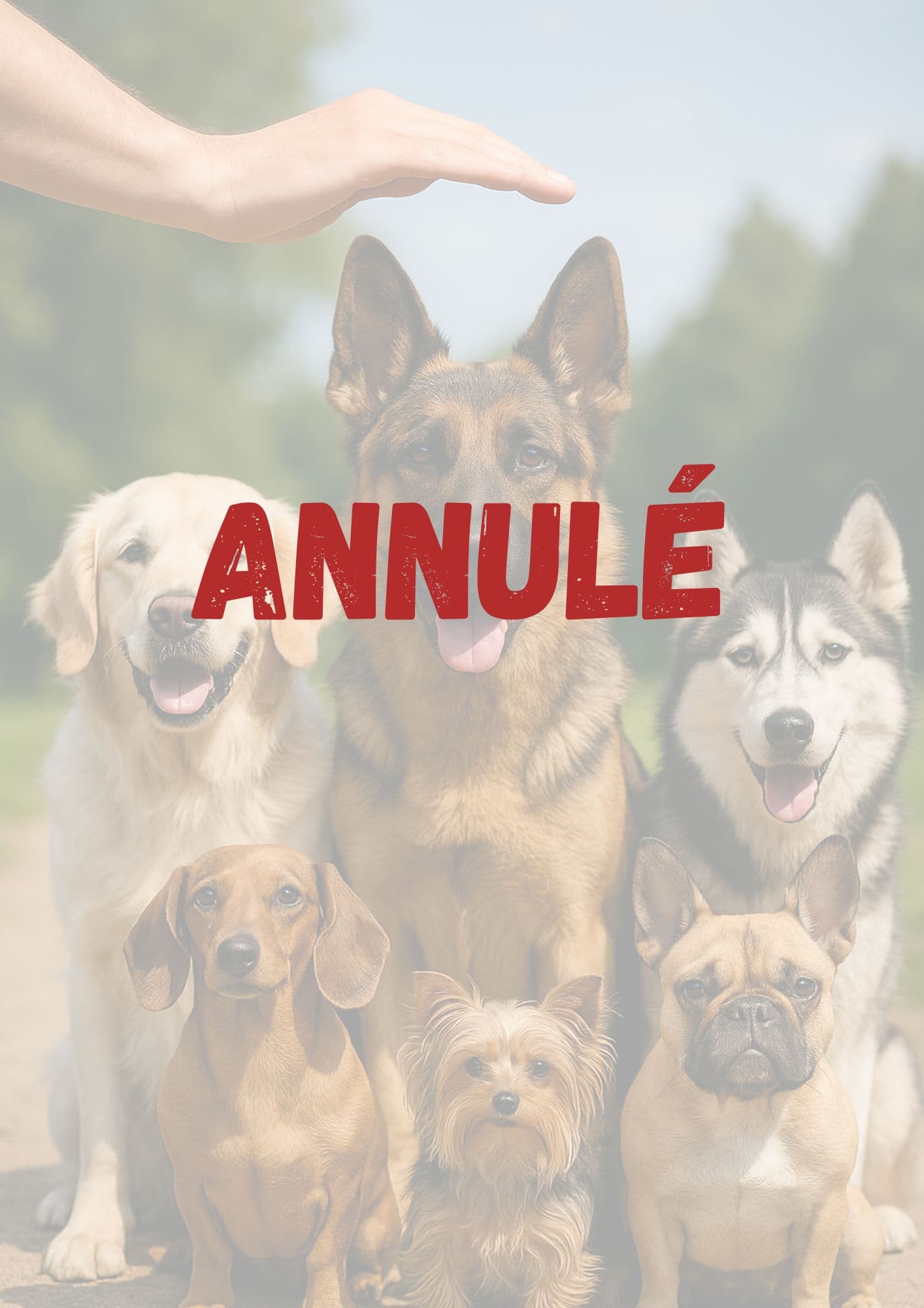 ANNULÉ - Une journée au Poil