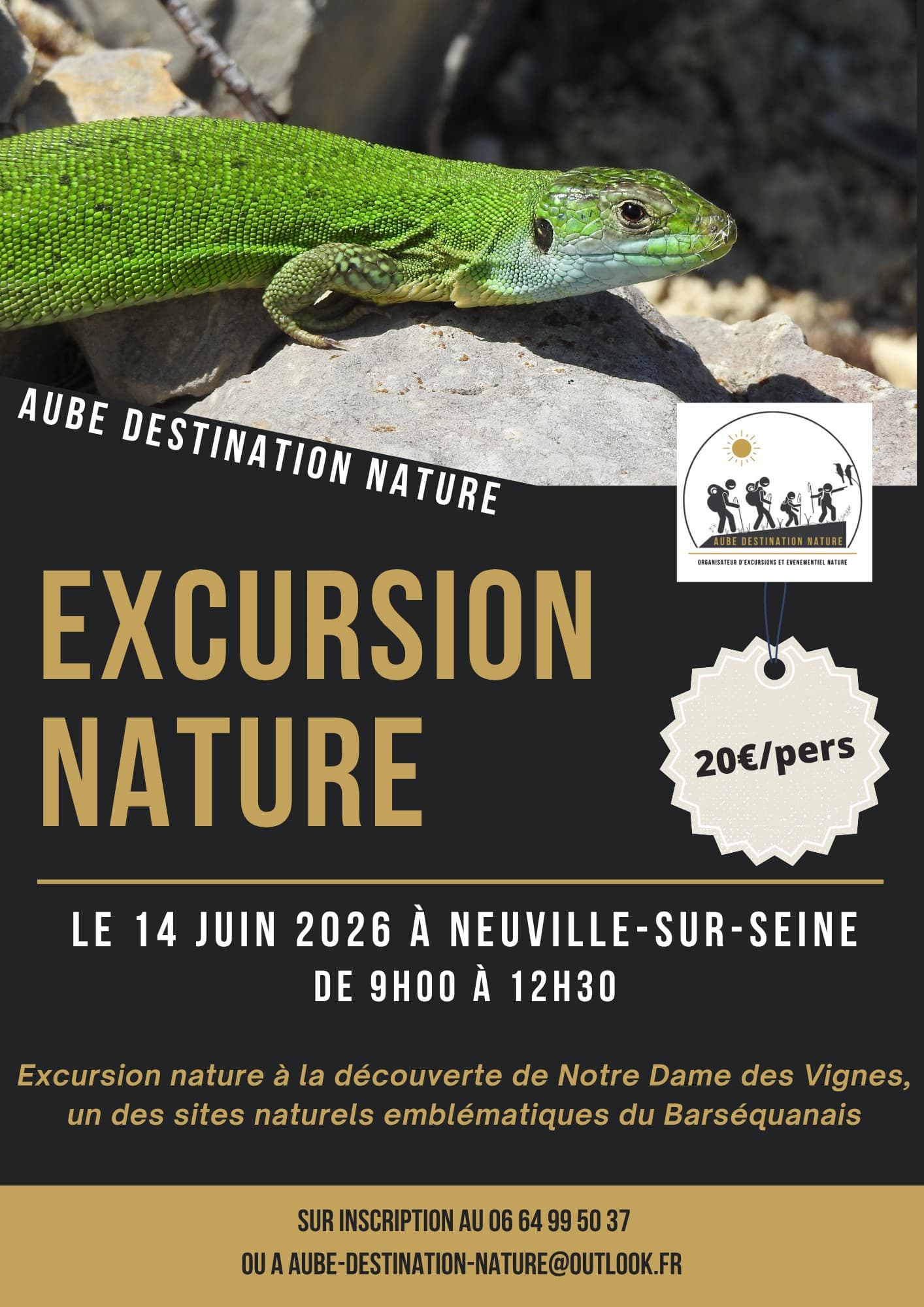 excursion nature.jpg
