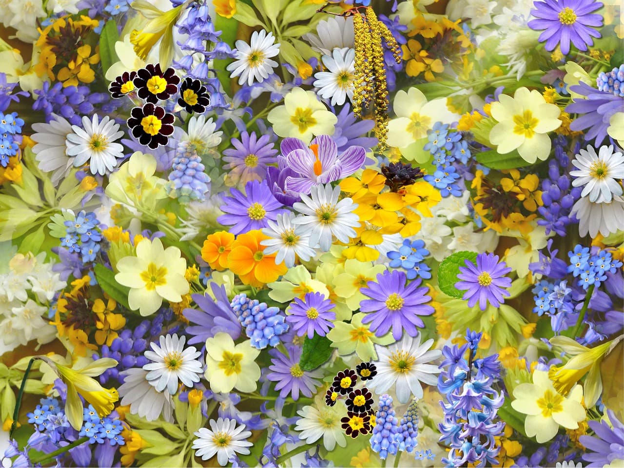 fleurs.jpg