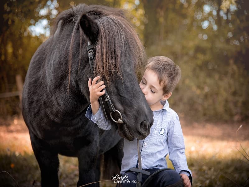 Le cheval emeraude