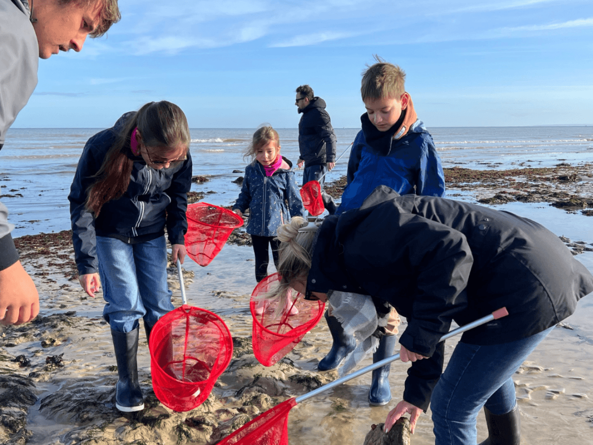 balade-decouverte-littorale-peche-a-pied-luc-sur-mer