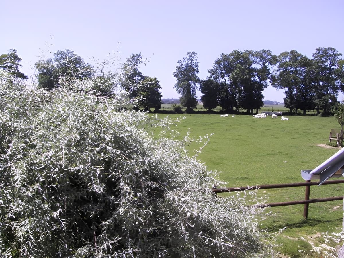 la ferme des châtaigniers