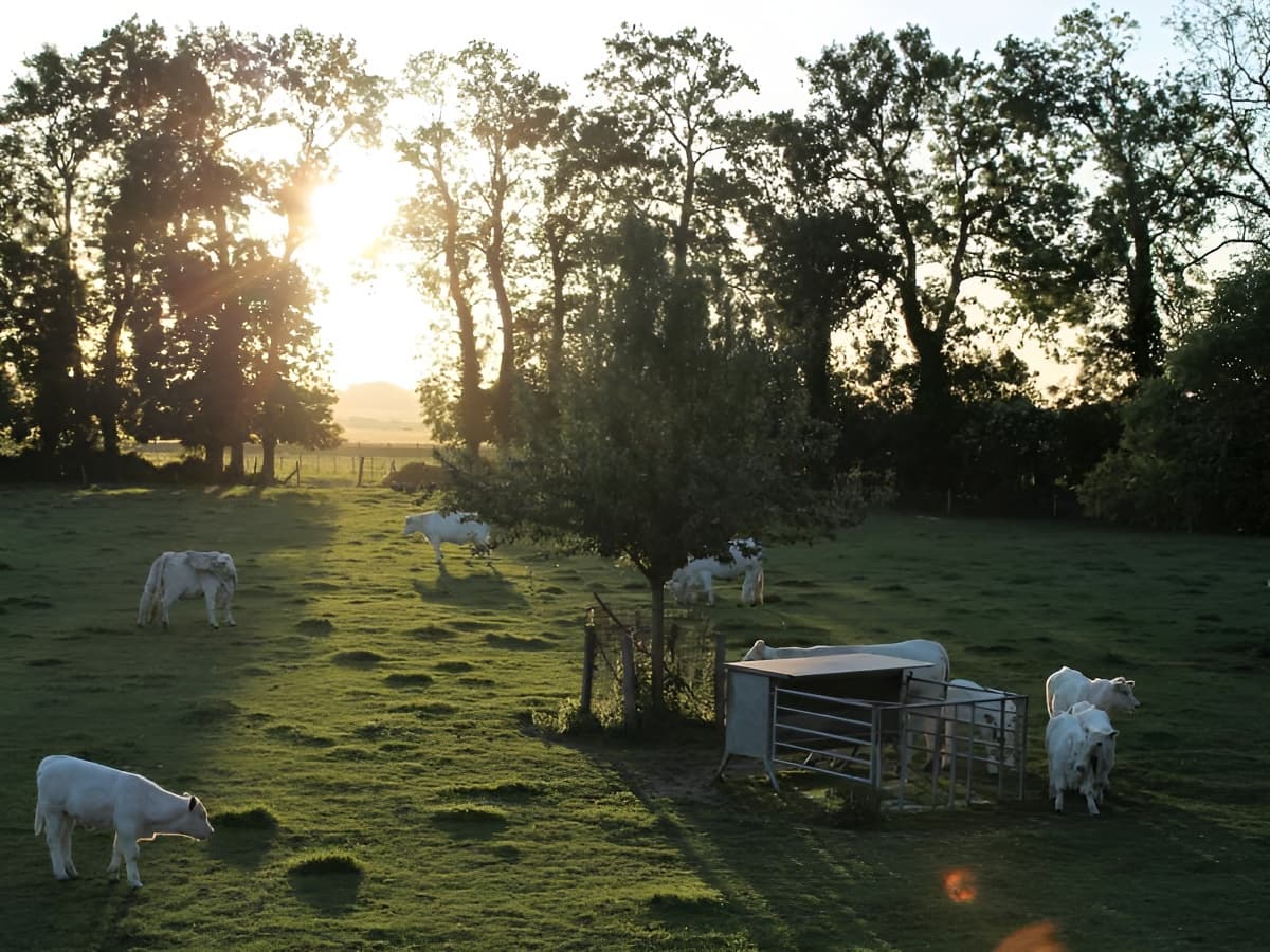 la ferme des chataigniers