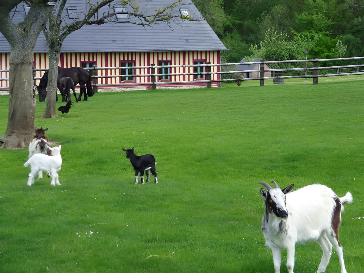 L'Ecurie de la Ferme Calèche