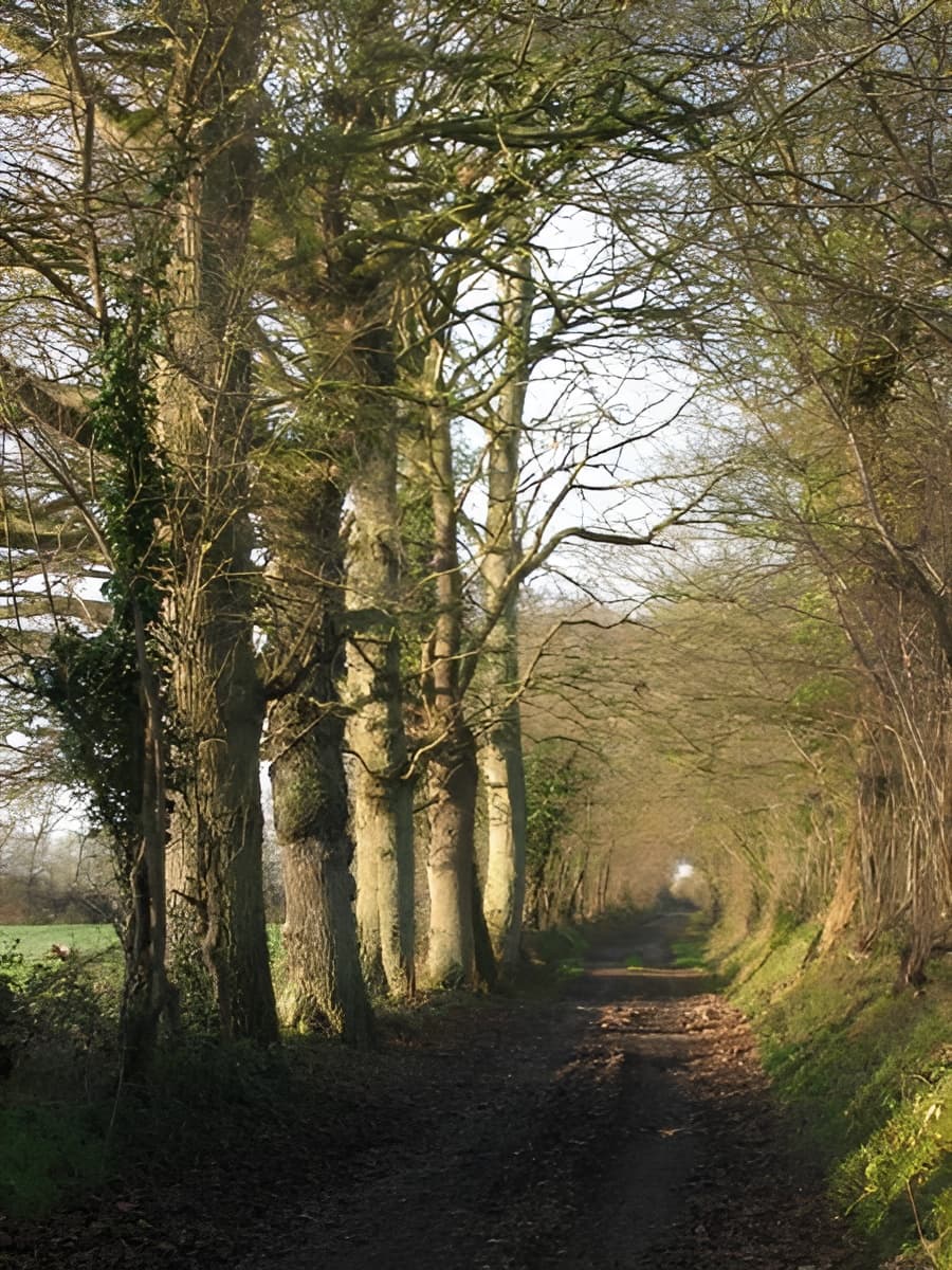 SENTIER PEDESTRE SUR PLACE