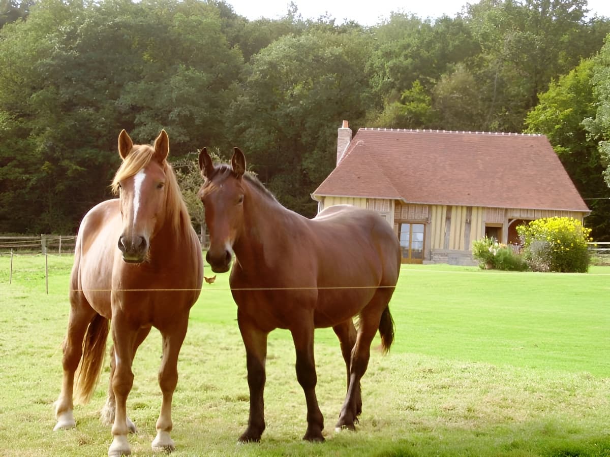 Le Pressoir