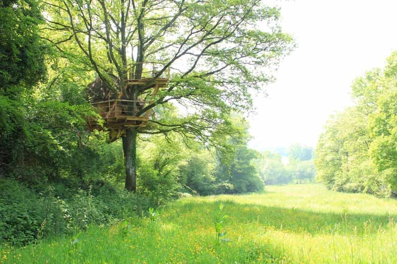 2013_Savigny_La_Vallee_Feerique4