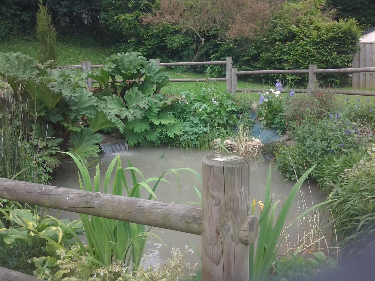plan d'eau naturel