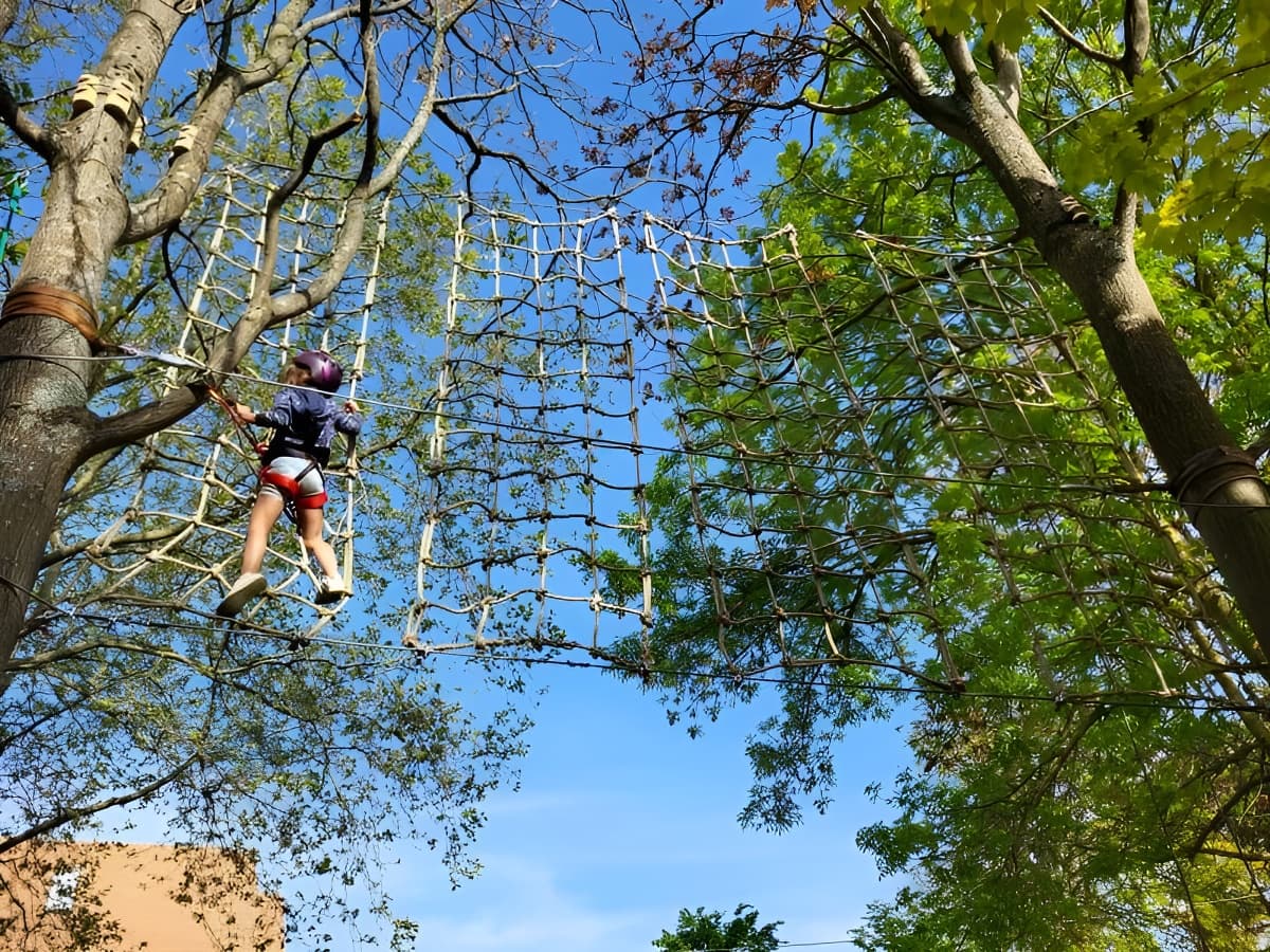 Parcours accrobranche "O' fil des branches"