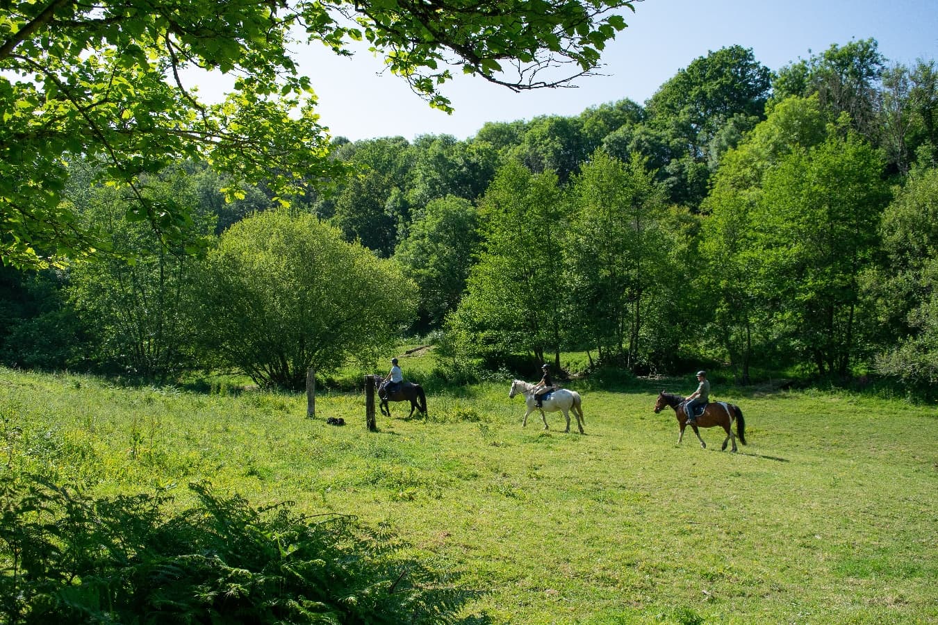 Promenade dans un cadre magique