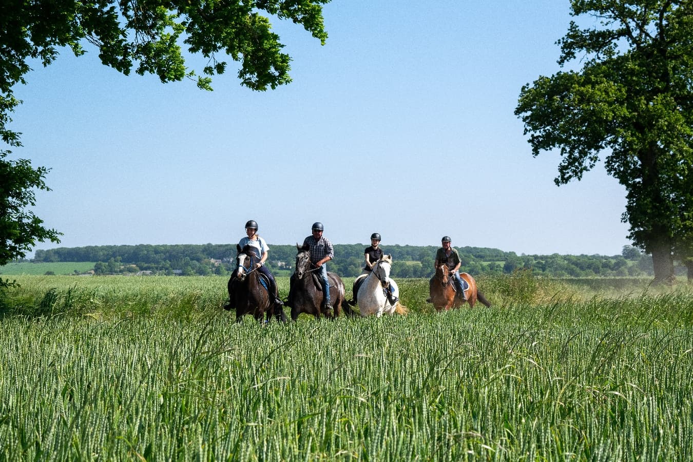 Sortie en groupe