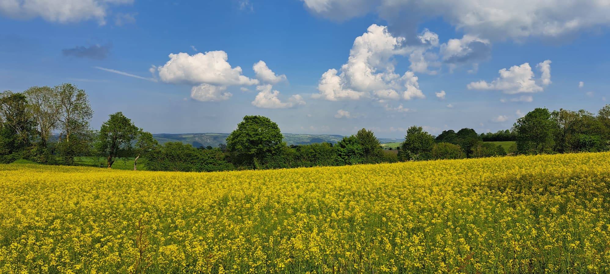 Vue au gite perdu