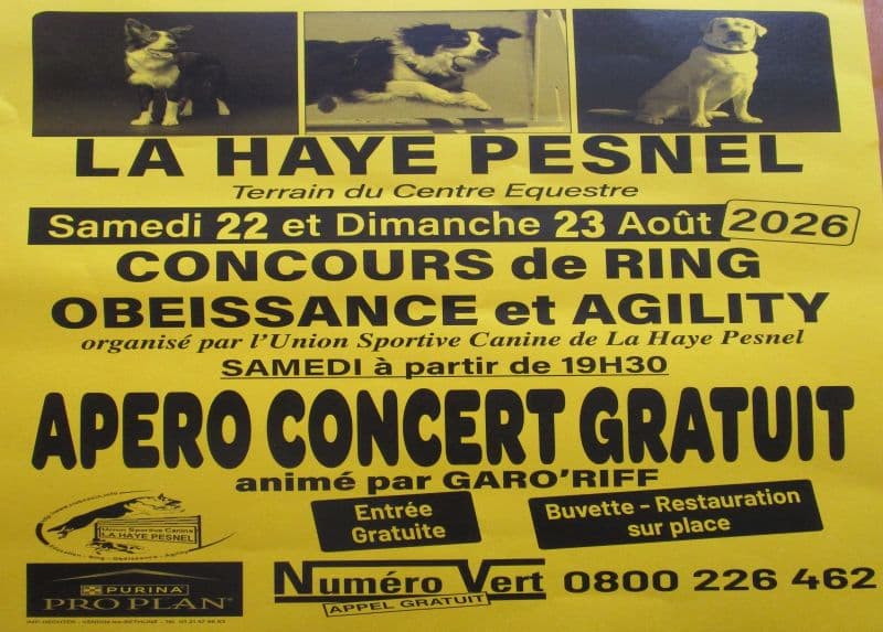 2026 - affiche concours canin