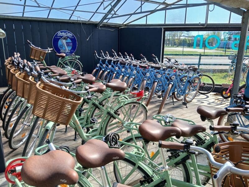 Gaston - Location vélos