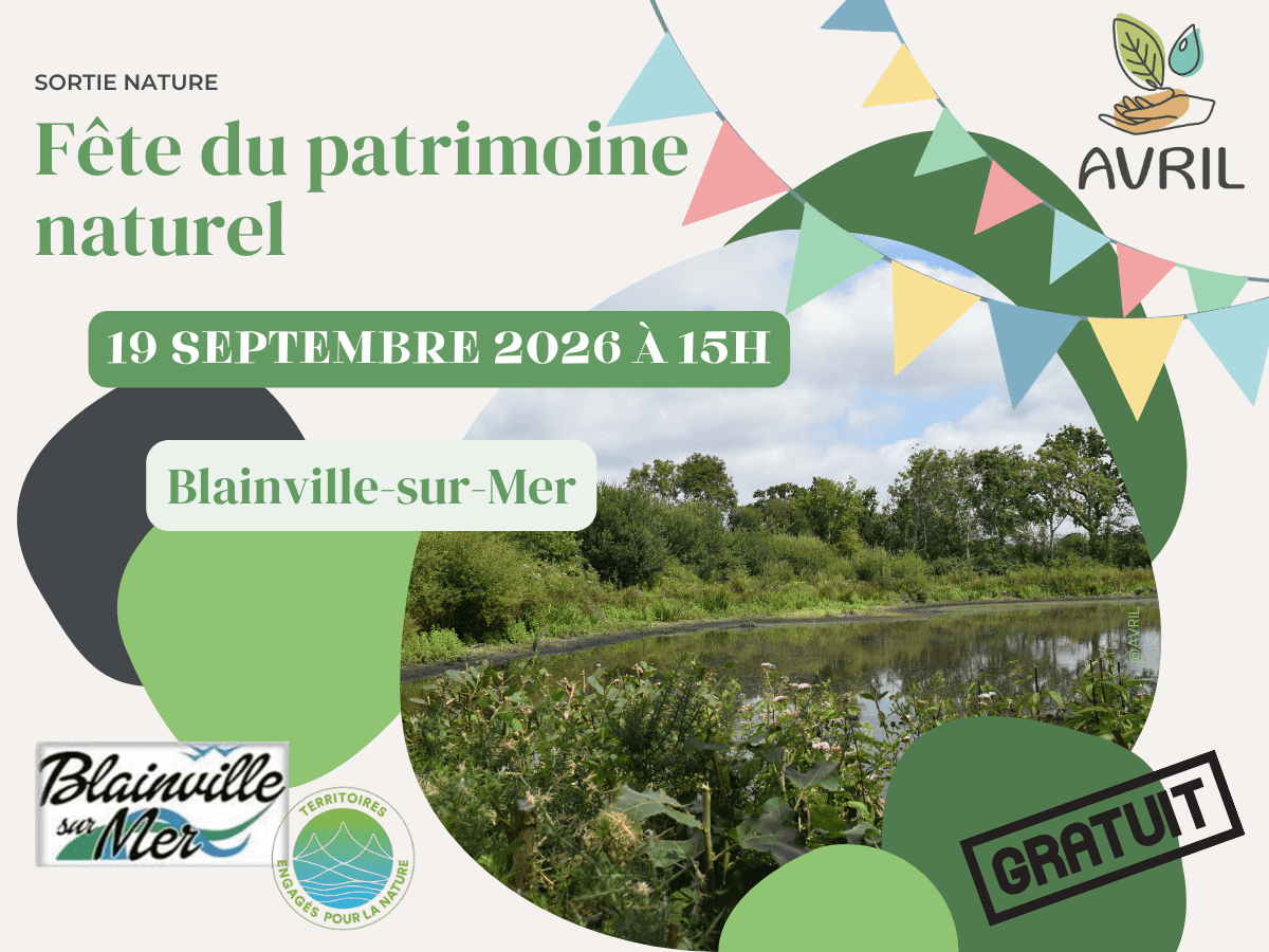 AVRIL_20260919_fête du patrimoine_blainvillesurmer